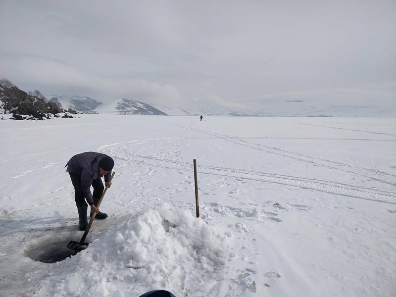 Bonus Dragonia i Ice Fishing Live - czy się łączą