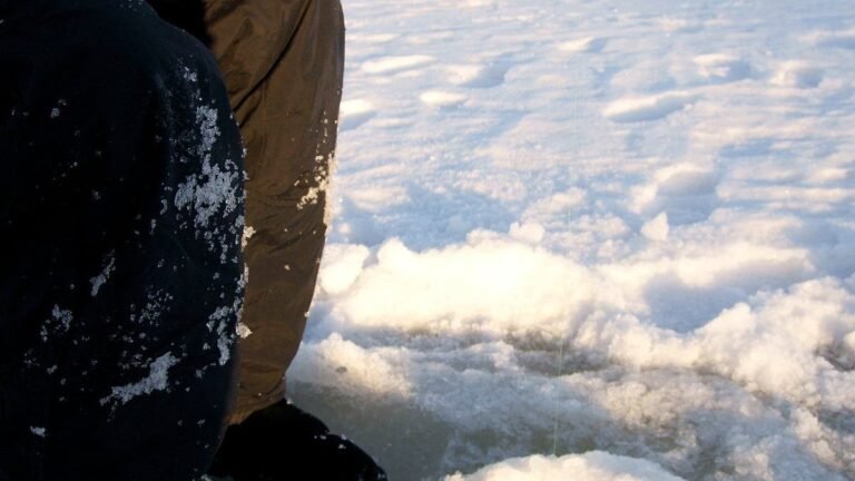 Ice Fishing Live na Dragonia opinie
