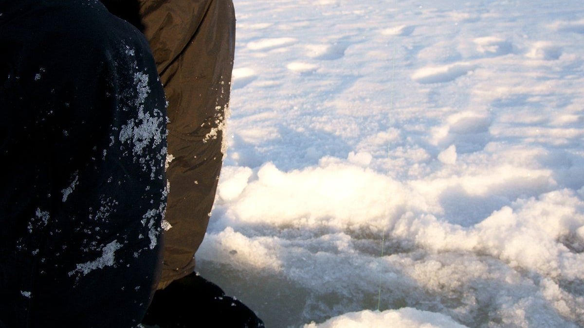 Ice Fishing Live na Dragonia opinie